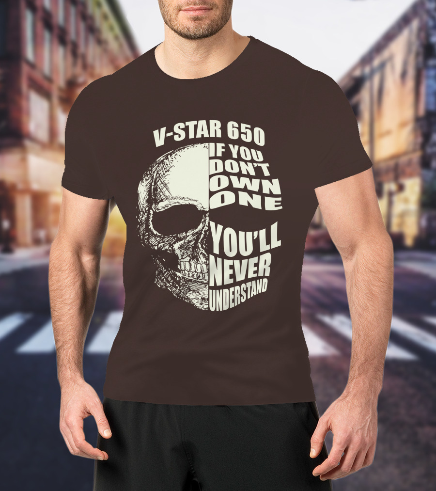 V-Star 650 If You Don't Own One You'll Never Understand Skull T-Shirt