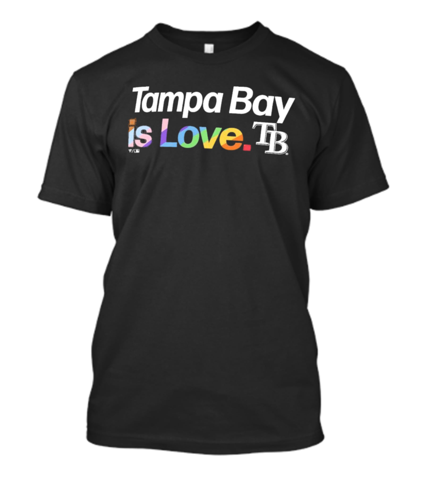 Tampa Bay Is Love TB City Pride T-Shirt