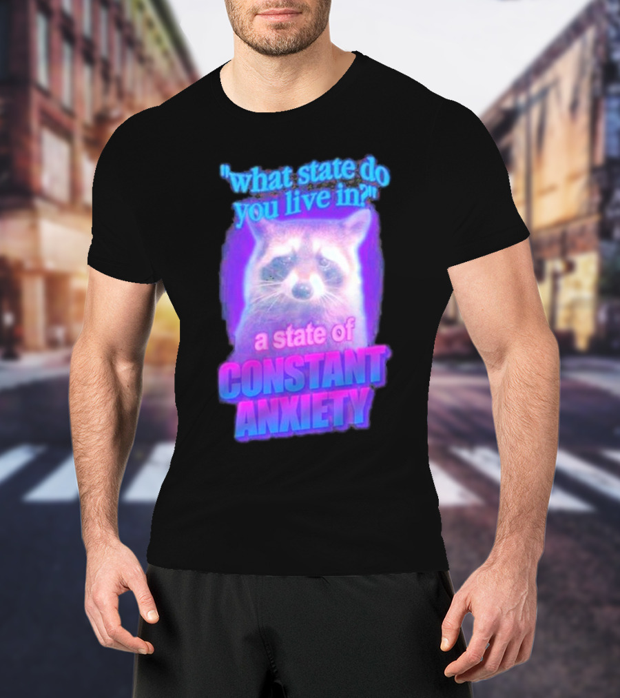 Raccoon In A State Of Constant Anxiety Meme T-Shirt
