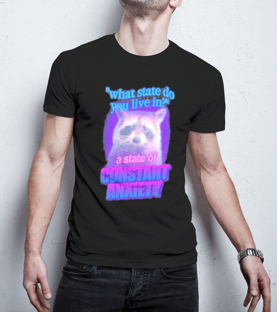 Raccoon In A State Of Constant Anxiety Meme T-Shirt