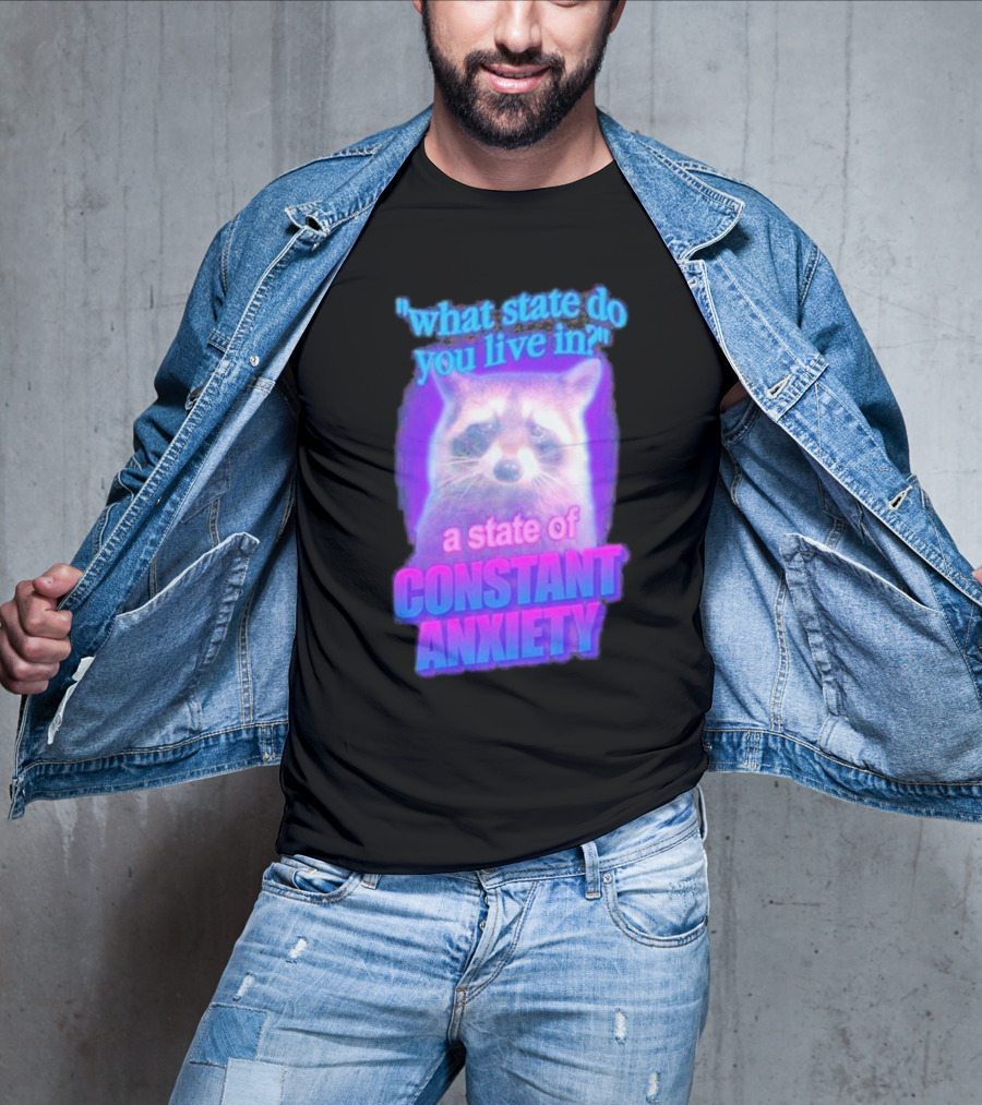Raccoon In A State Of Constant Anxiety Meme T-Shirt