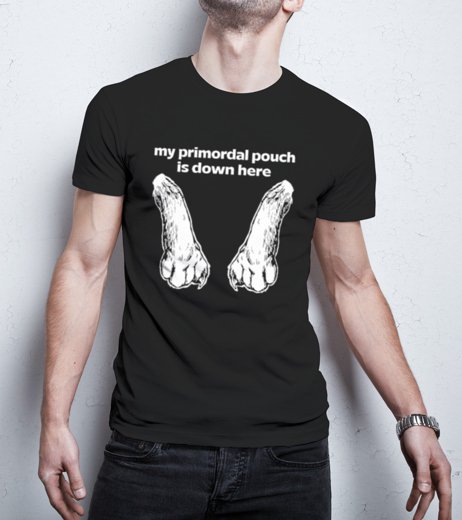 My Primordial Pouch Is Down Here Funny Cat Lover Graphic By Mango Island T-Shirt