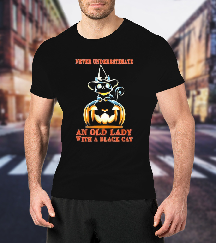 Never Underestimate An Old Lady With A Black Cat Halloween Pumpkin Witch Hat T-Shirt