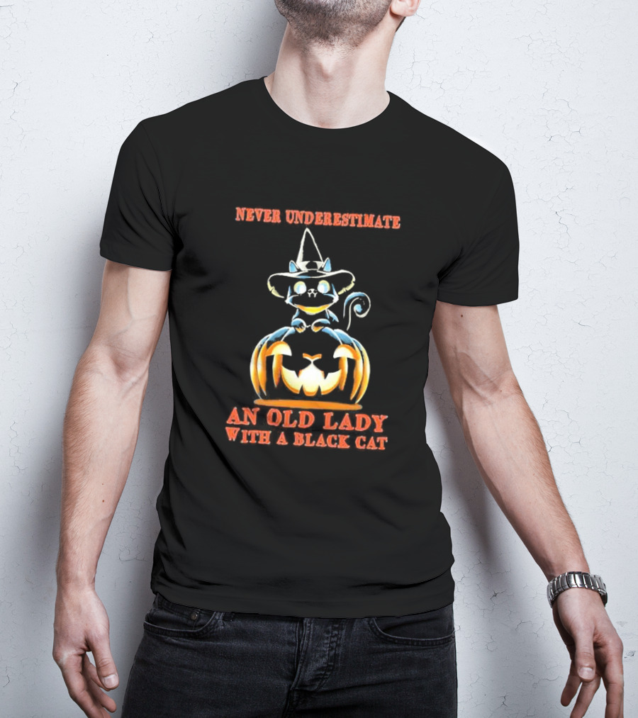 Never Underestimate An Old Lady With A Black Cat Halloween Pumpkin Witch Hat T-Shirt