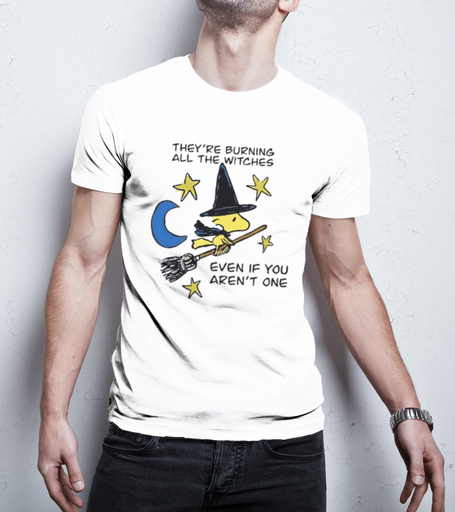 They’re Burning All The Witches Even If You Aren’t One Woodstock Wizard Stars Moon Broomstick T-Shirt