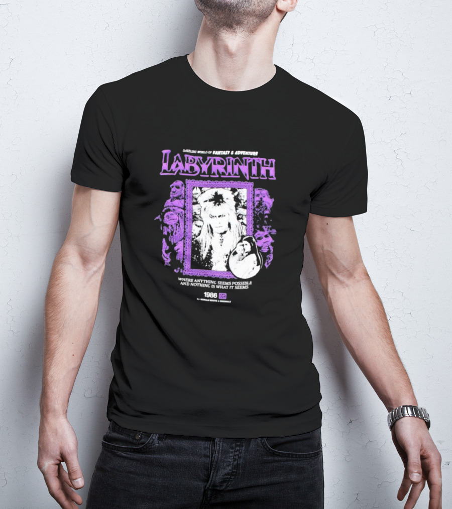 Dazzling World Of Fantasy And Adventure Labyrinth 1986 Where Anything Seems Possible And Nothing Is What It Seems T-Shirt