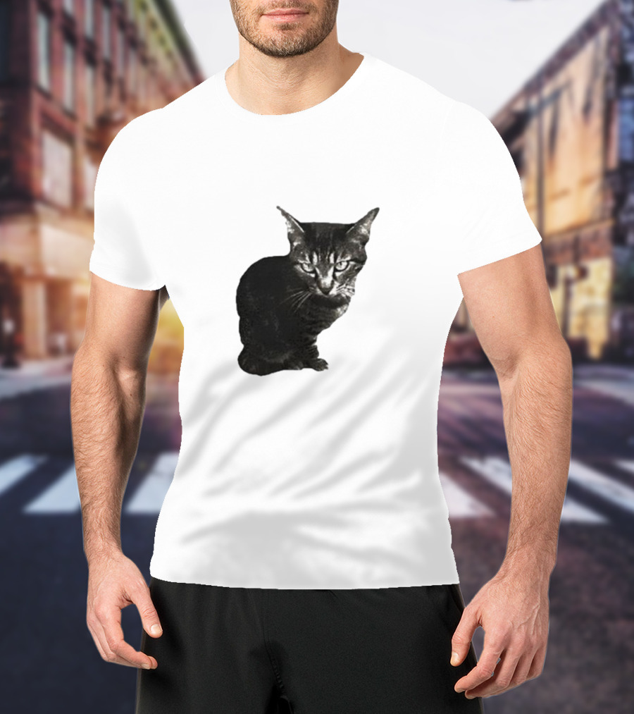 Smileymaya15 How Long Have I Been Here Kitten Cat Black Gray Tabby T-Shirt