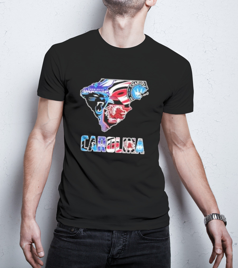 Carolina Panthers South Carolina Gamecocks Charlotte FC Hurricanes Carolina T-Shirt