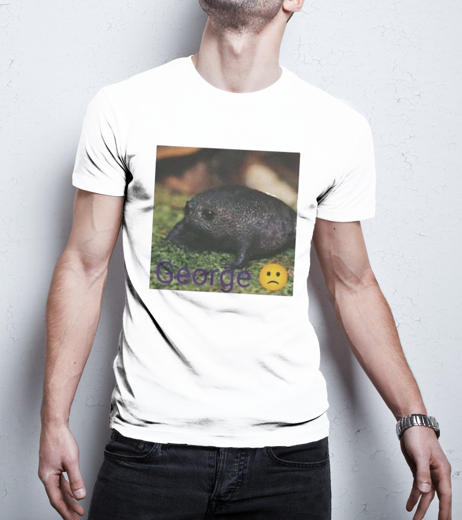George Sad Frog Meme Inspired Image T-Shirt