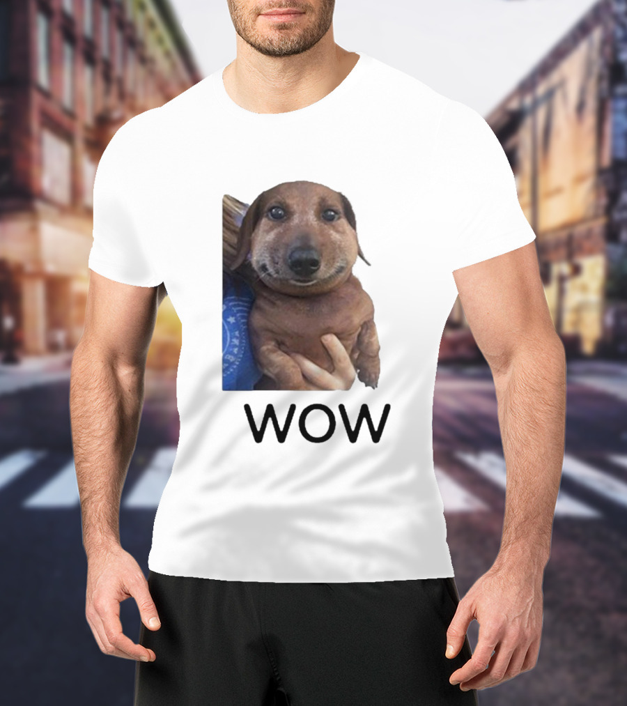 Fallenchungus Wow Dog Meme With Funny Expression T-Shirt