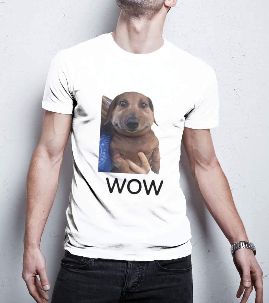 Fallenchungus Wow Dog Meme With Funny Expression T-Shirt