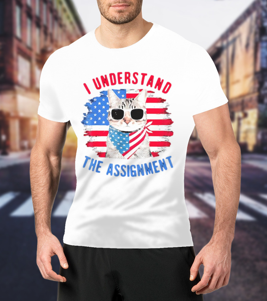 I Understand The Assignment Cat With American Flag Sunglasses And Scarf T-Shirt