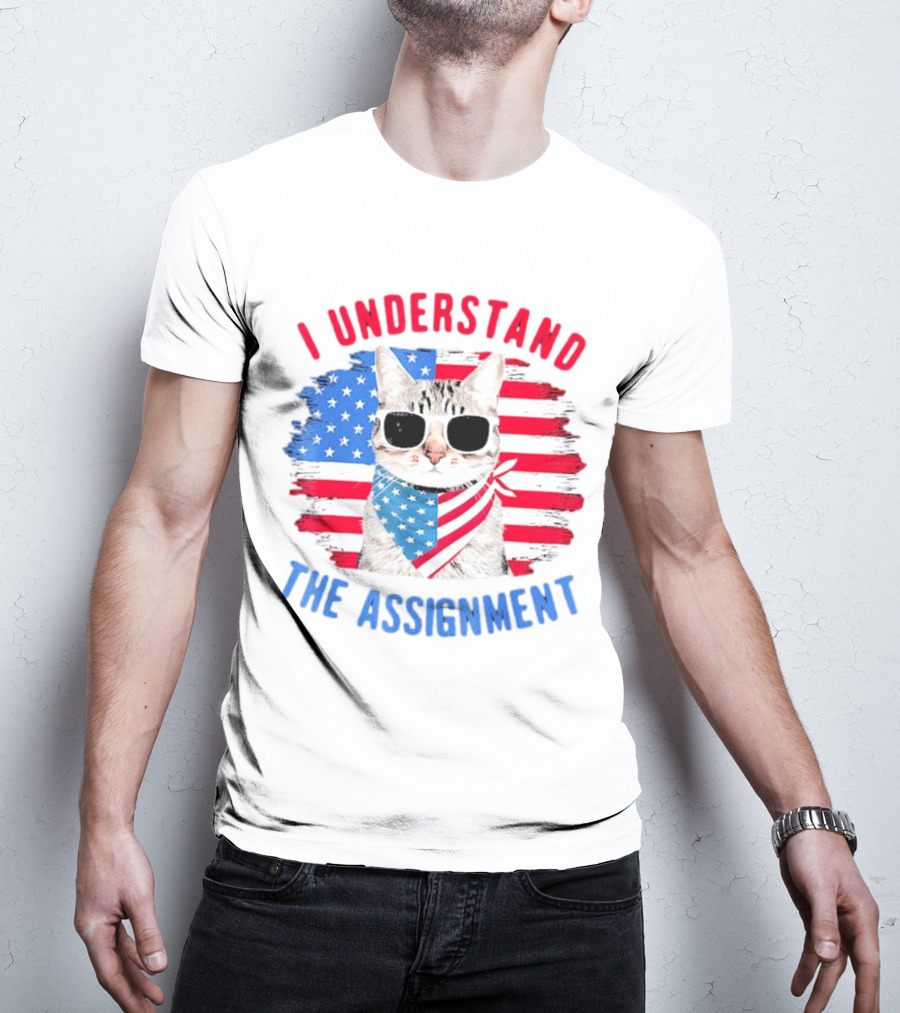 I Understand The Assignment Cat With American Flag Sunglasses And Scarf T-Shirt