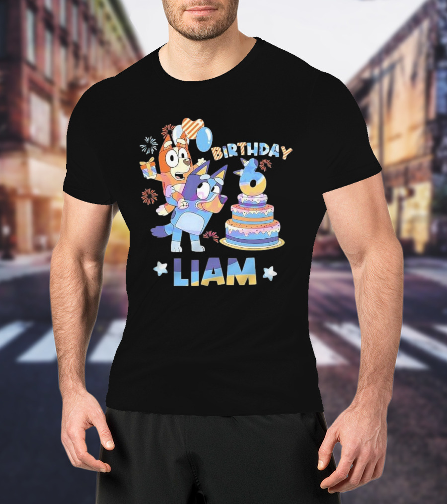 Birthday 6 Liam Funny It's My Birthday T-Shirt