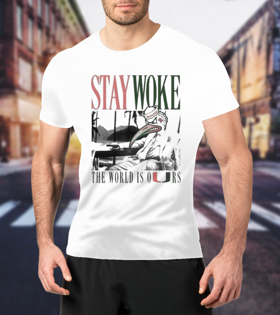 Stay Woke The World Is Ours Miami Hurricanes Vintage T-Shirt