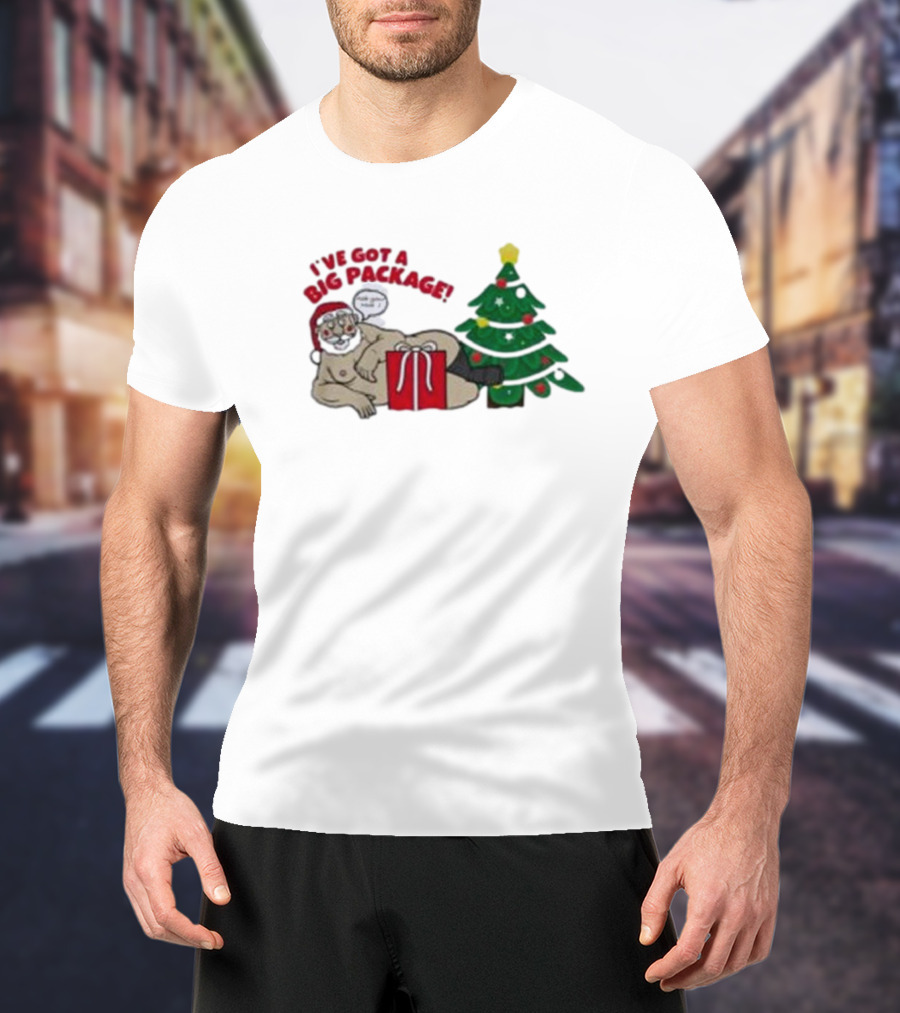 I've Got A Big Package Santa's Tree Smash Ugly Christmas T-Shirt