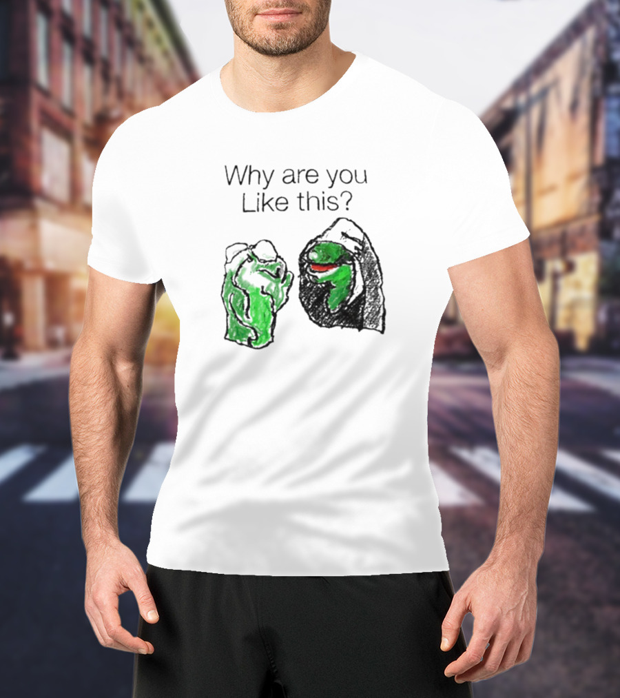 Why Are You Like This Meme Frog Hoodie Inner Self Conflict T-Shirt