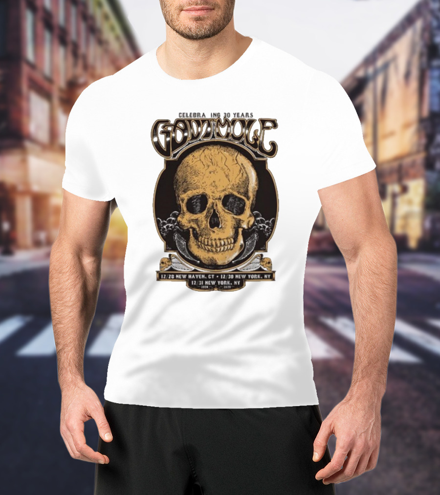 Gov’t Mule Celebrating 30 Years NYE Shows Dec 28 New Haven CT And Dec 30-31 New York NY T-Shirt