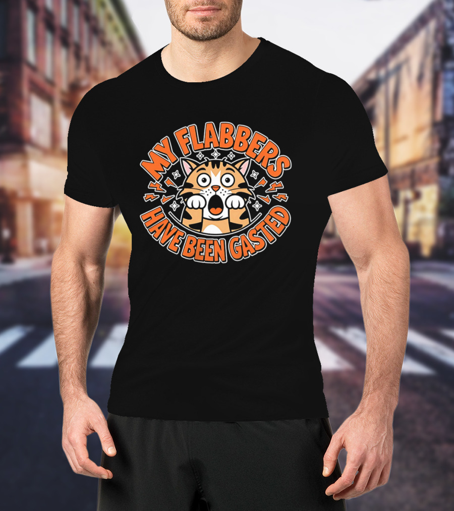 My Flabbers Have Been Gasted Cat Cartoon Expression T-Shirt