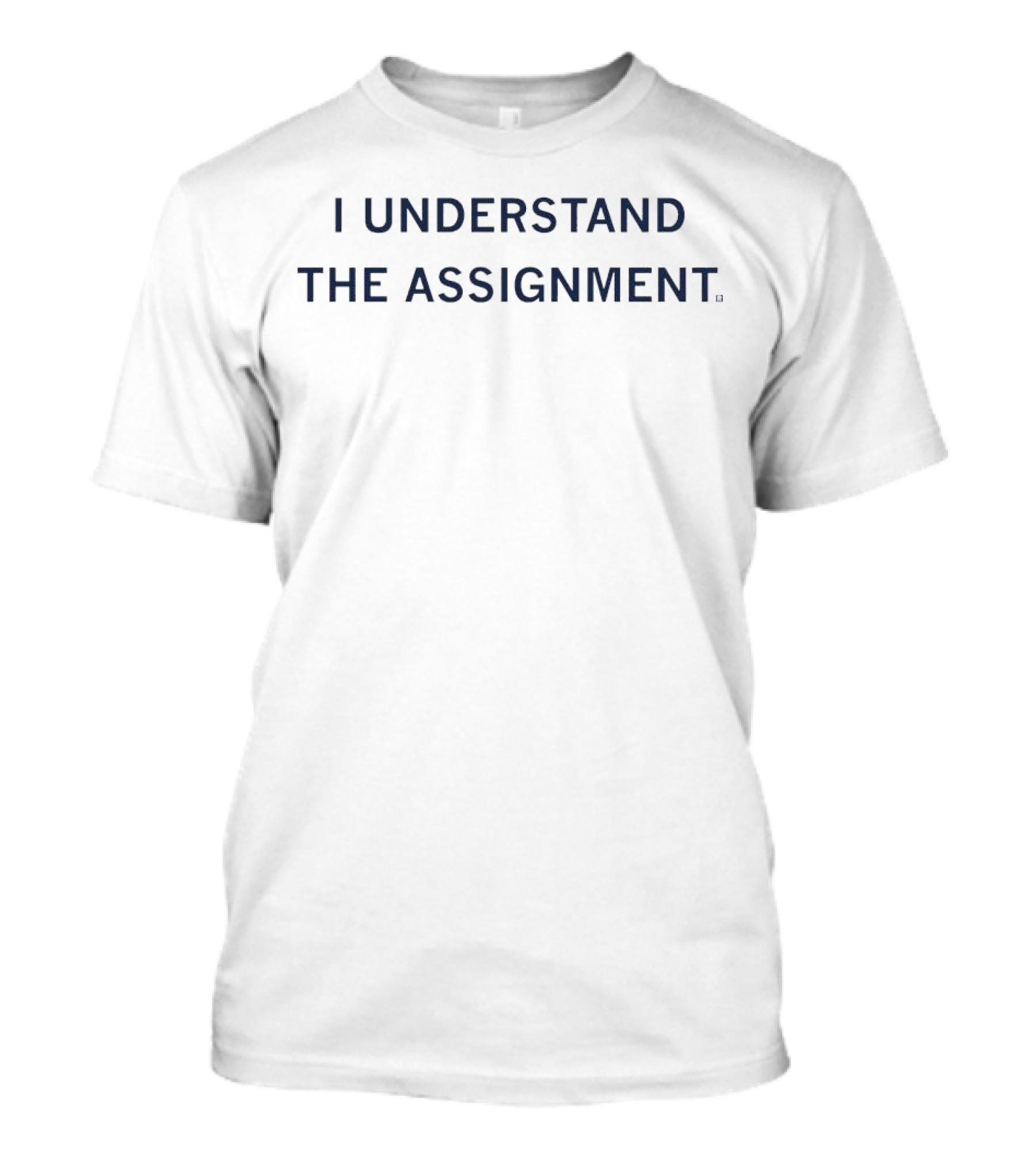 I Understand The Assignment T-Shirt