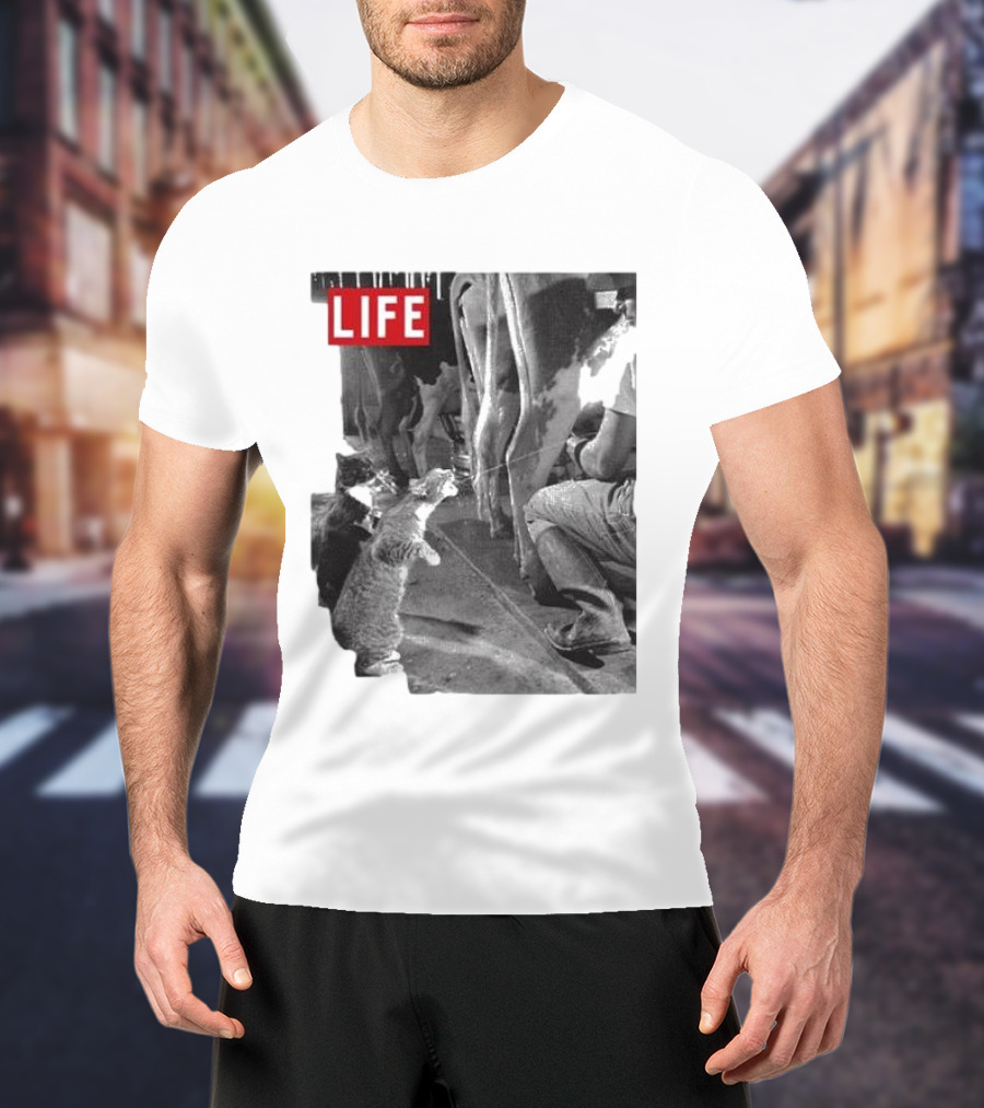 Life Magazine Cats Enjoying Fresh Milk T-Shirt