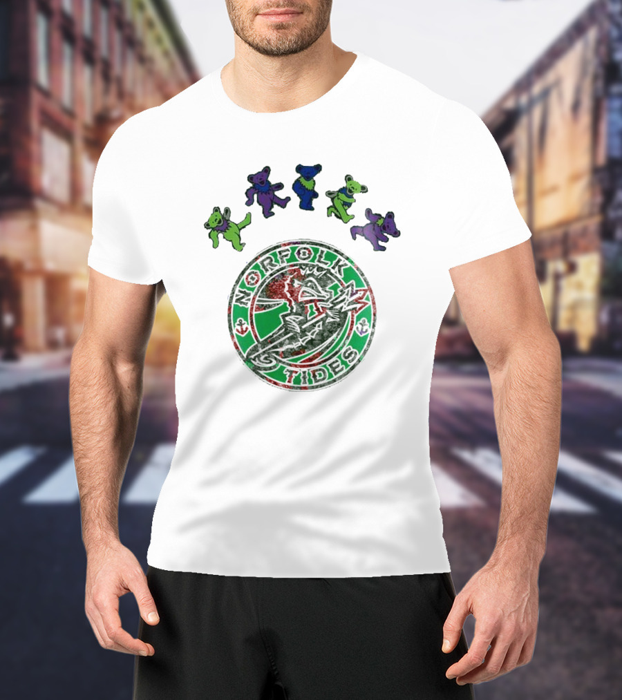 Norfolk Tides Grateful Dead Night 2025 Dancing Bears Baseball T-Shirt