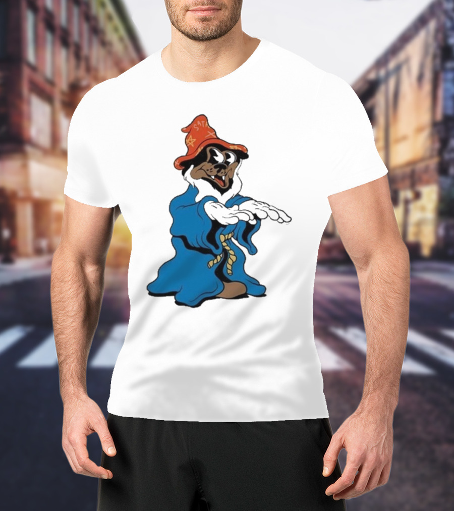 The Dudes It’s All Wavy Wizard Dog In Blue Robe With Orange Star Hat T-Shirt