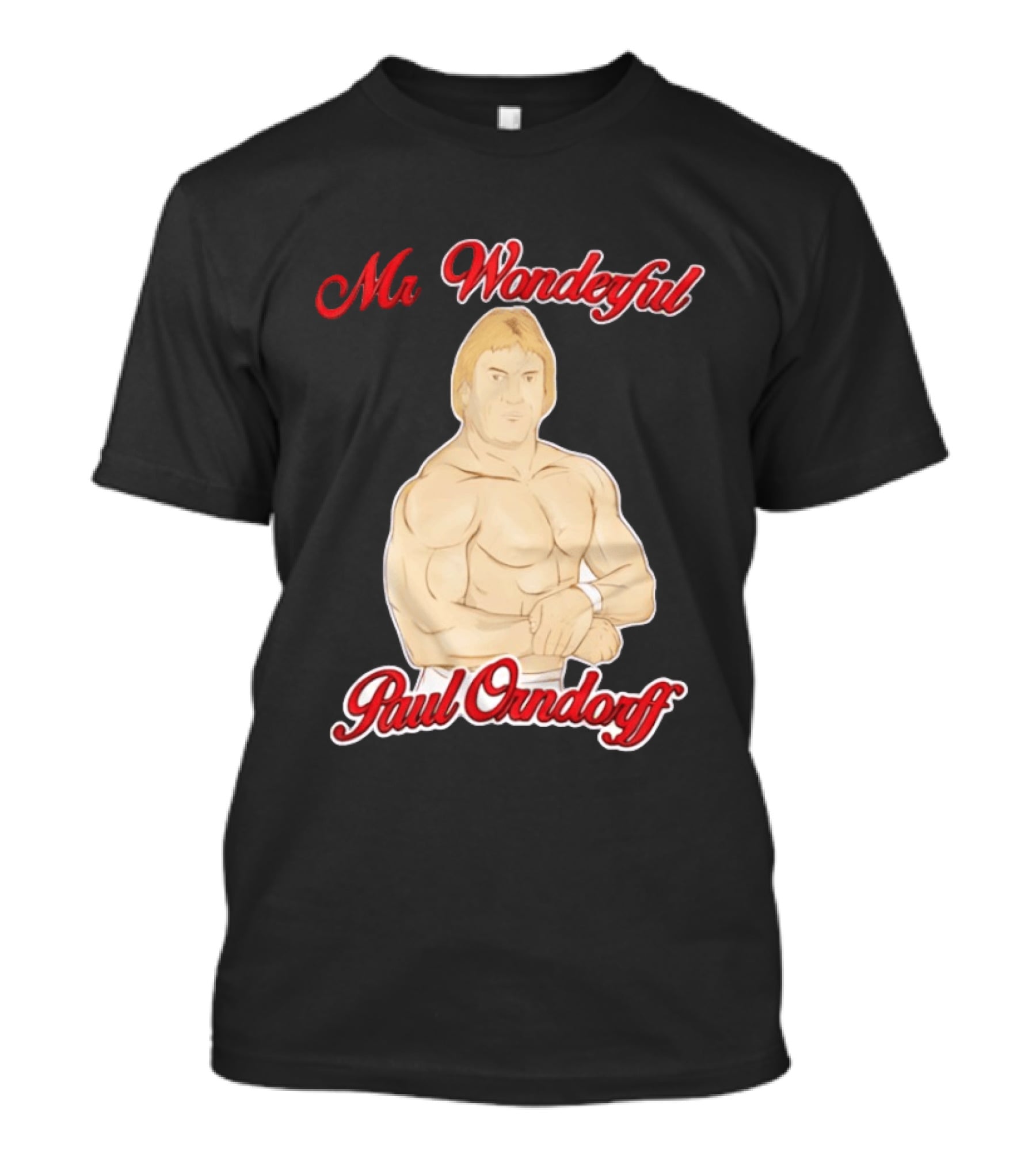 Mr Wonderful Paul Orndorff Vintage Wrestling Legend T-Shirt