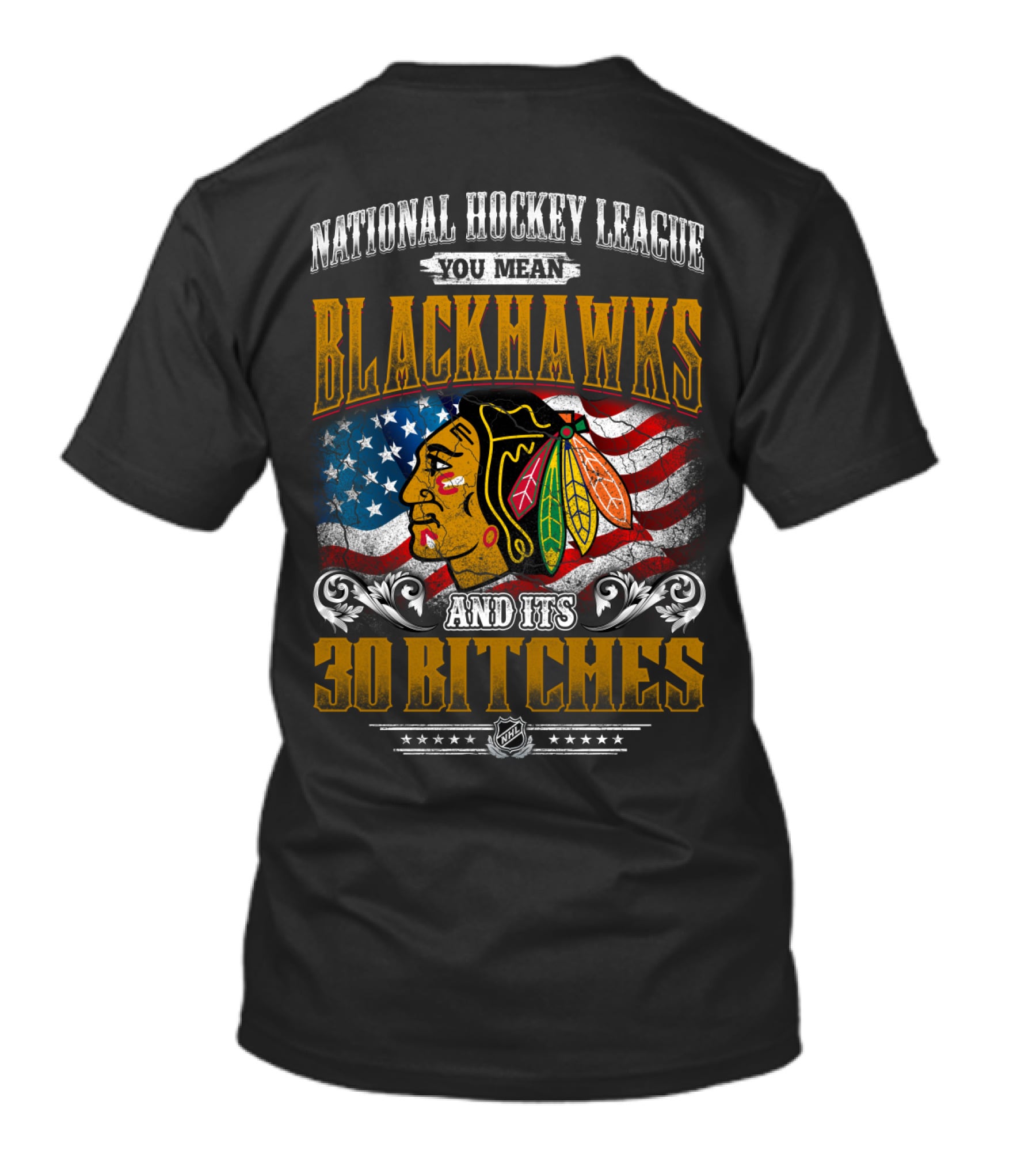 National Hockey League You Mean Blackhawks And Its 30 Bitches T-Shirt