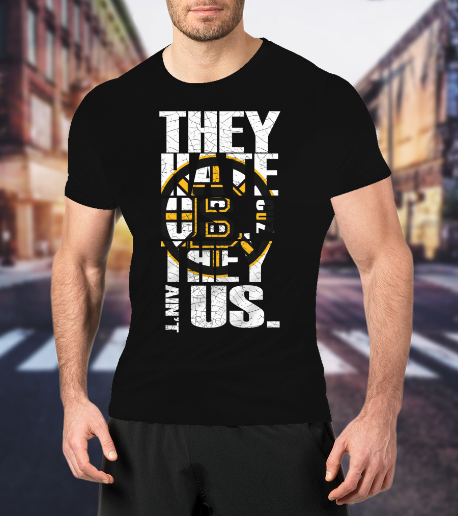 They Hate Us Boston Bruins They Ain't Us T-Shirt
