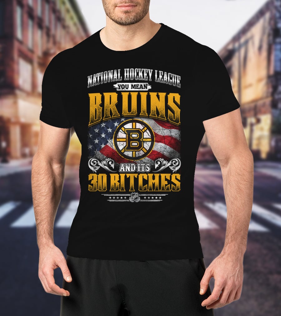 Bruins National Hockey League You Mean And Its 30 Bitches T-Shirt