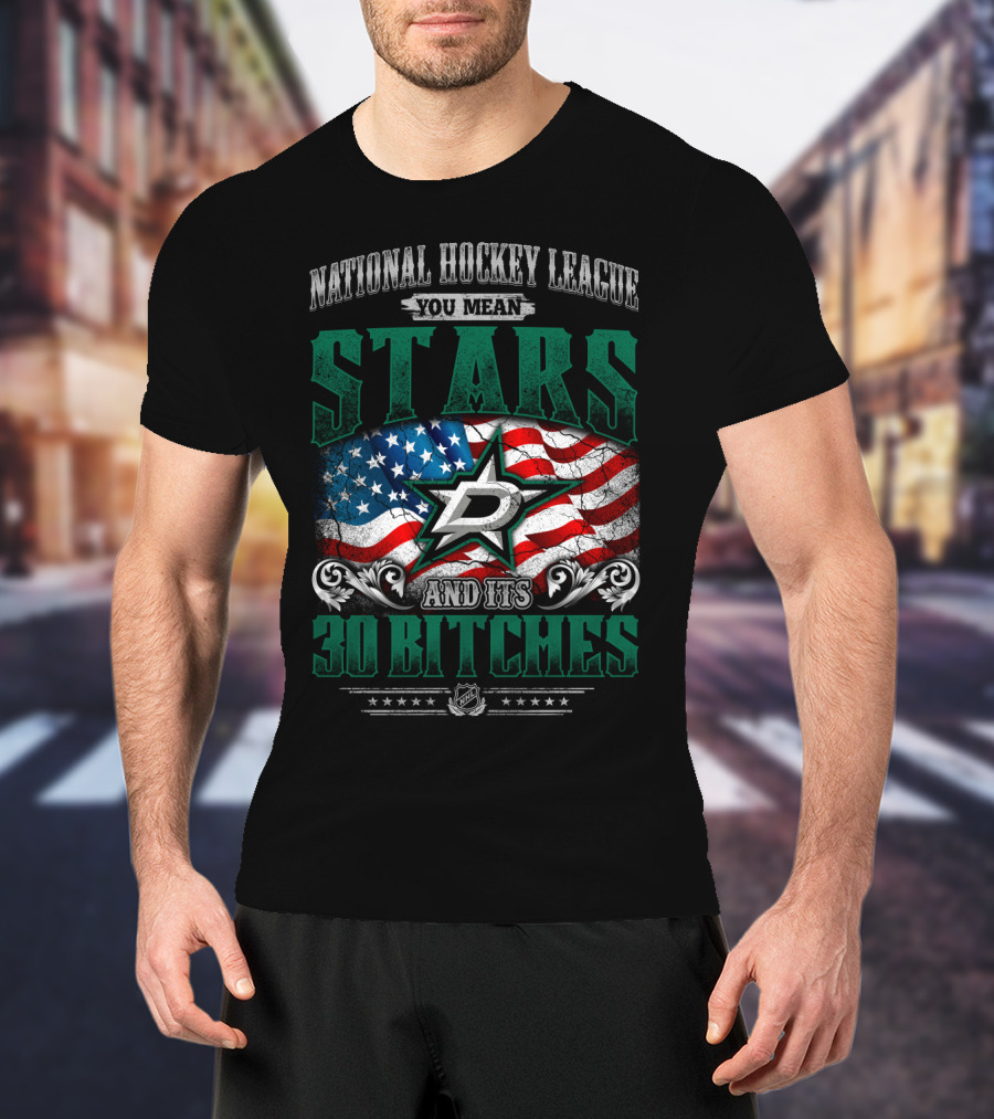 National Hockey League You Mean Dallas Stars And Its 30 Bitches T-Shirt