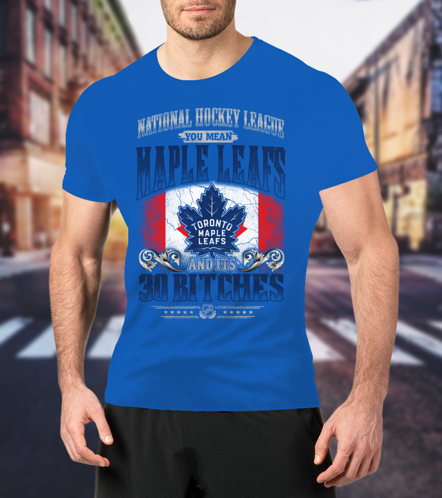 National Hockey League You Mean Toronto Maple Leafs And Its 30 Bitches T-Shirt