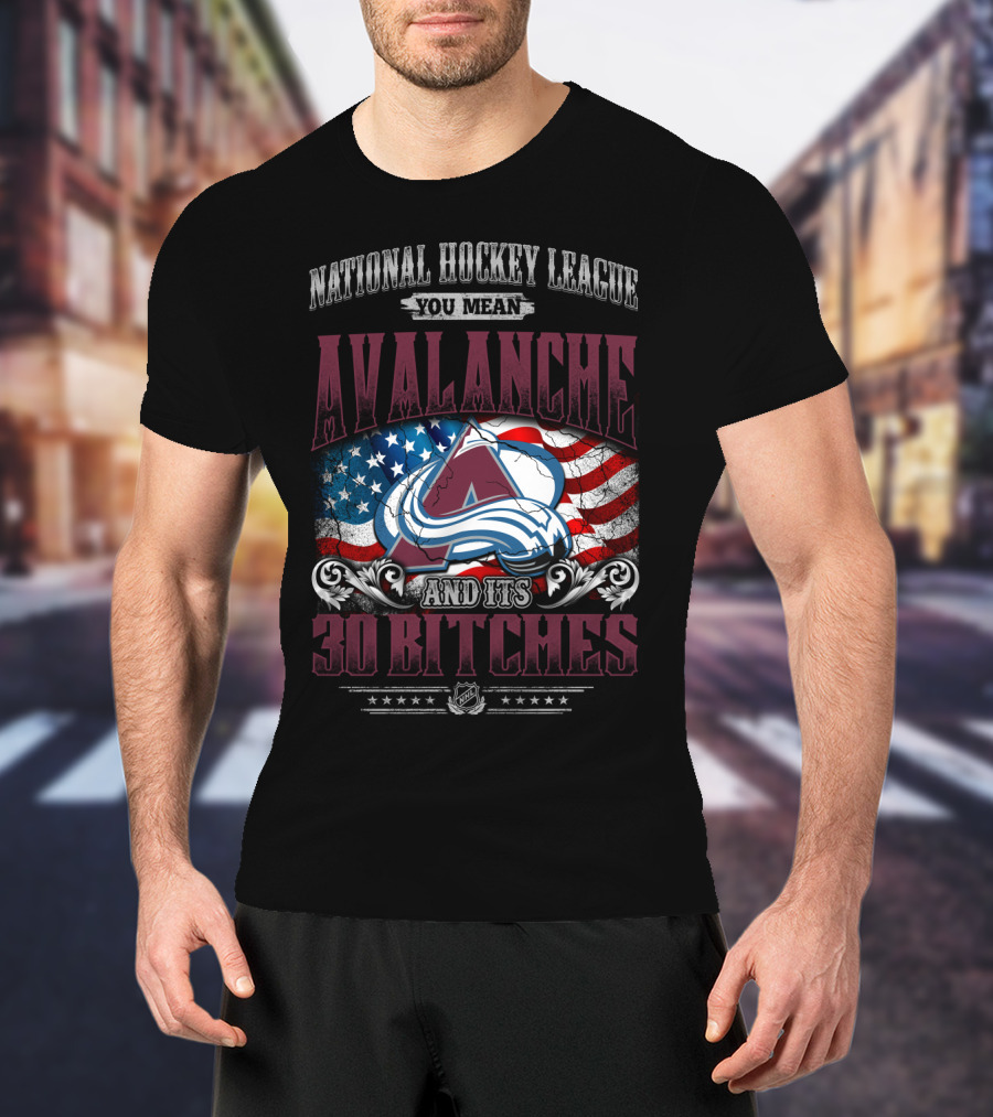 National Hockey League You Mean Avalanche And Its 30 Bitches T-Shirt