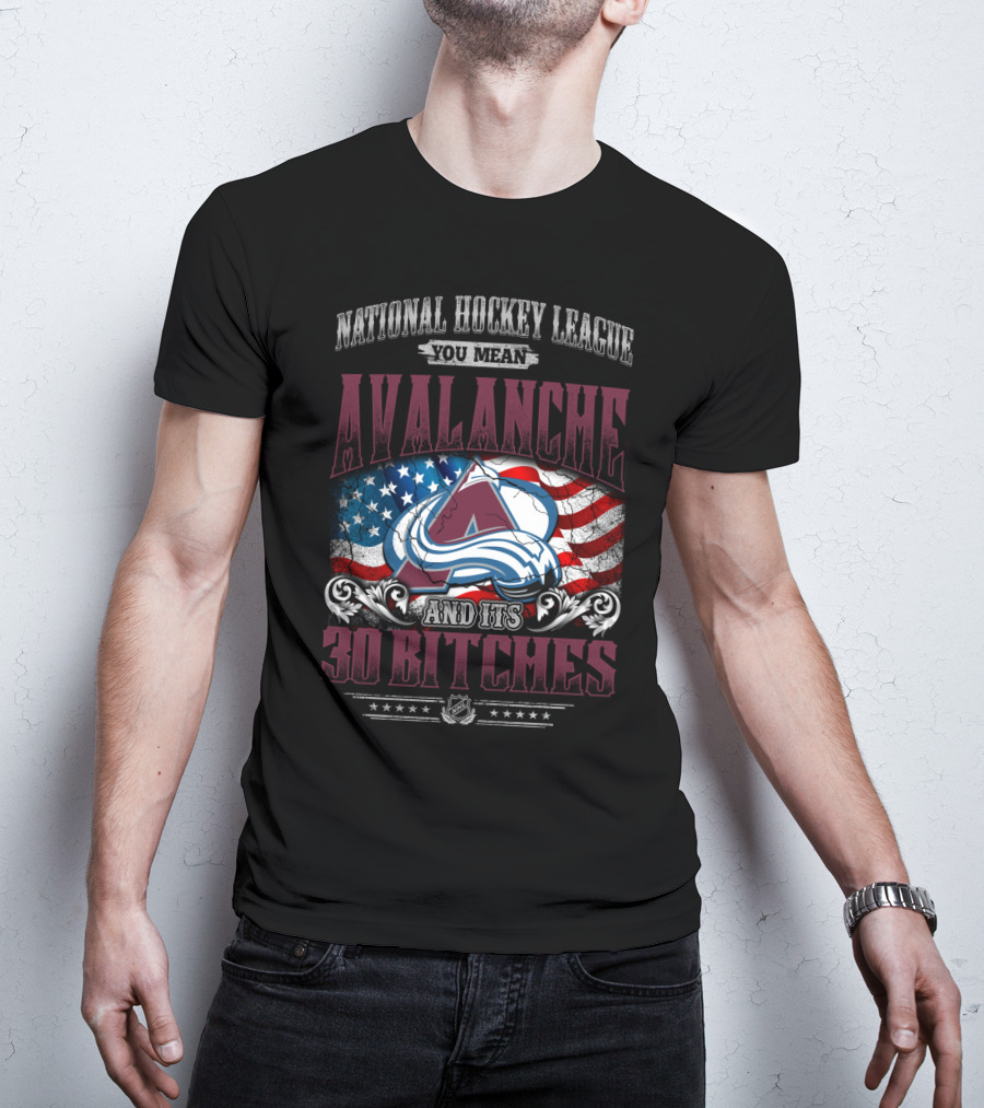 National Hockey League You Mean Avalanche And Its 30 Bitches T-Shirt