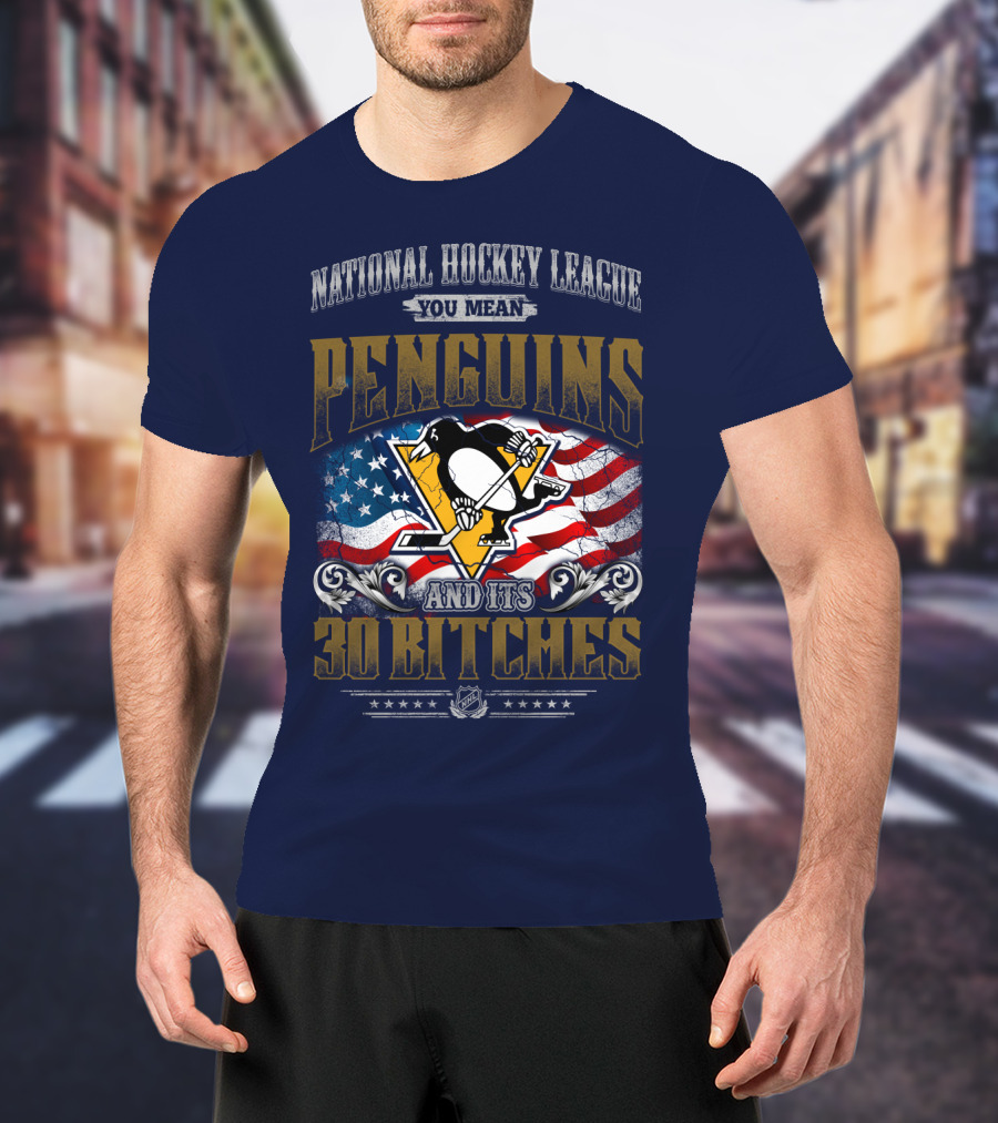 National Hockey League You Mean Penguins And Its 30 Bitches T-Shirt