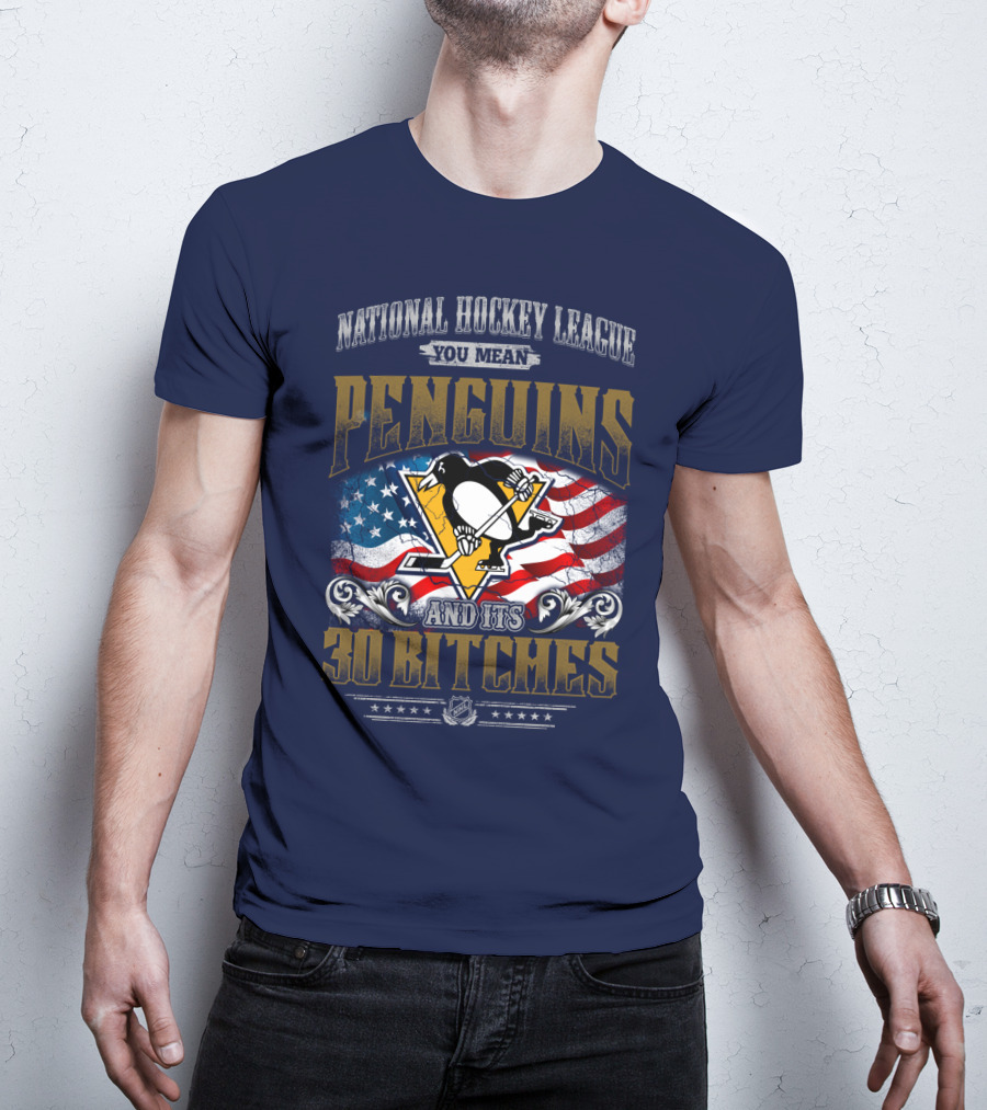 National Hockey League You Mean Penguins And Its 30 Bitches T-Shirt