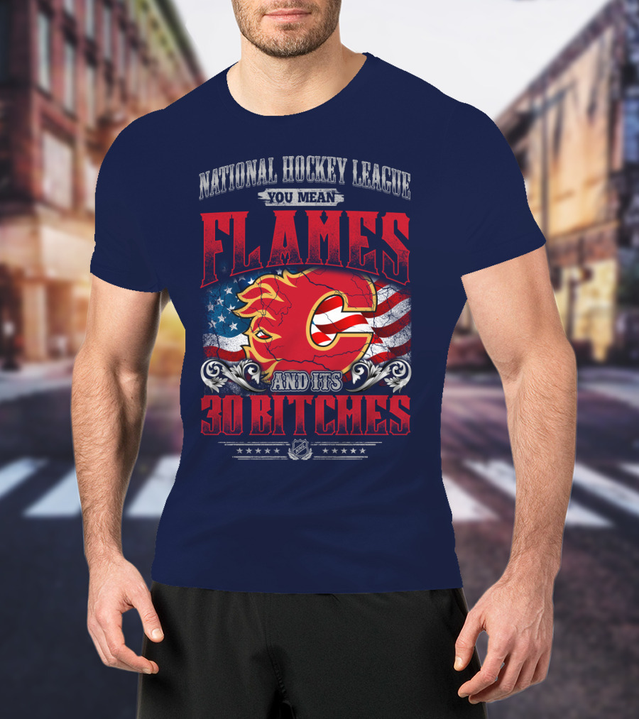 National Hockey League You Mean Flames And It's 30 Bitches T-Shirt