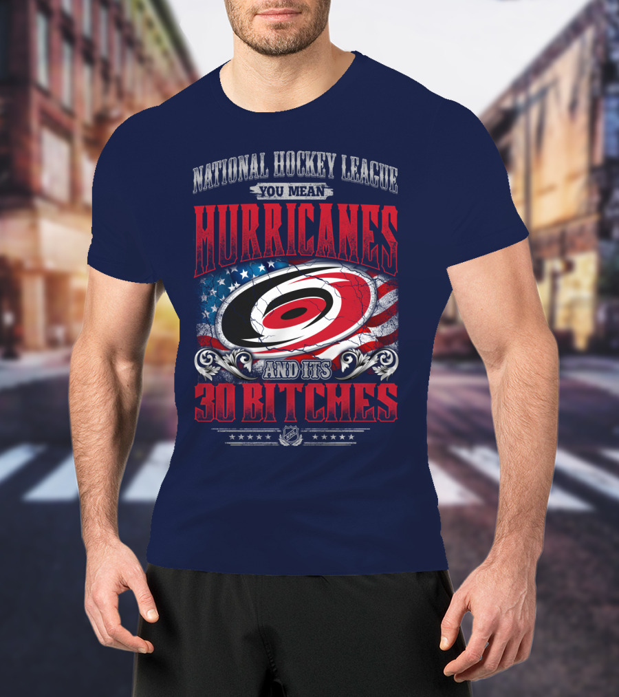 National Hockey League You Mean Hurricanes And Its 30 Bitches T-Shirt
