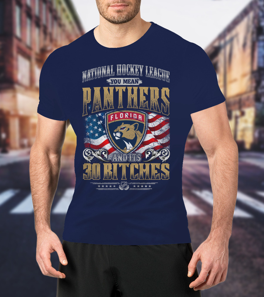 National Hockey League You Mean Florida Panthers And Its 30 Bitches T-Shirt