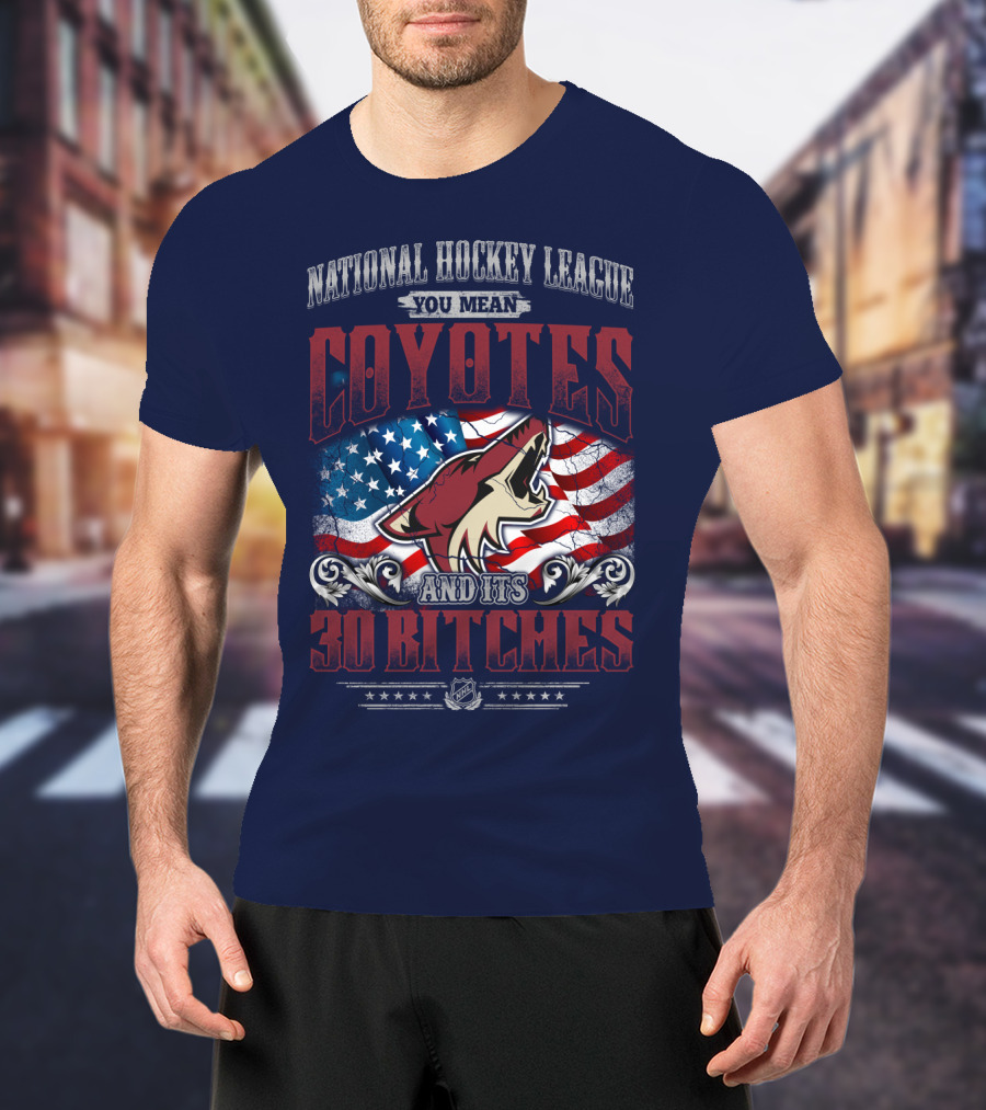 National Hockey League Coyotes And Its 30 Bitches American Flag T-Shirt
