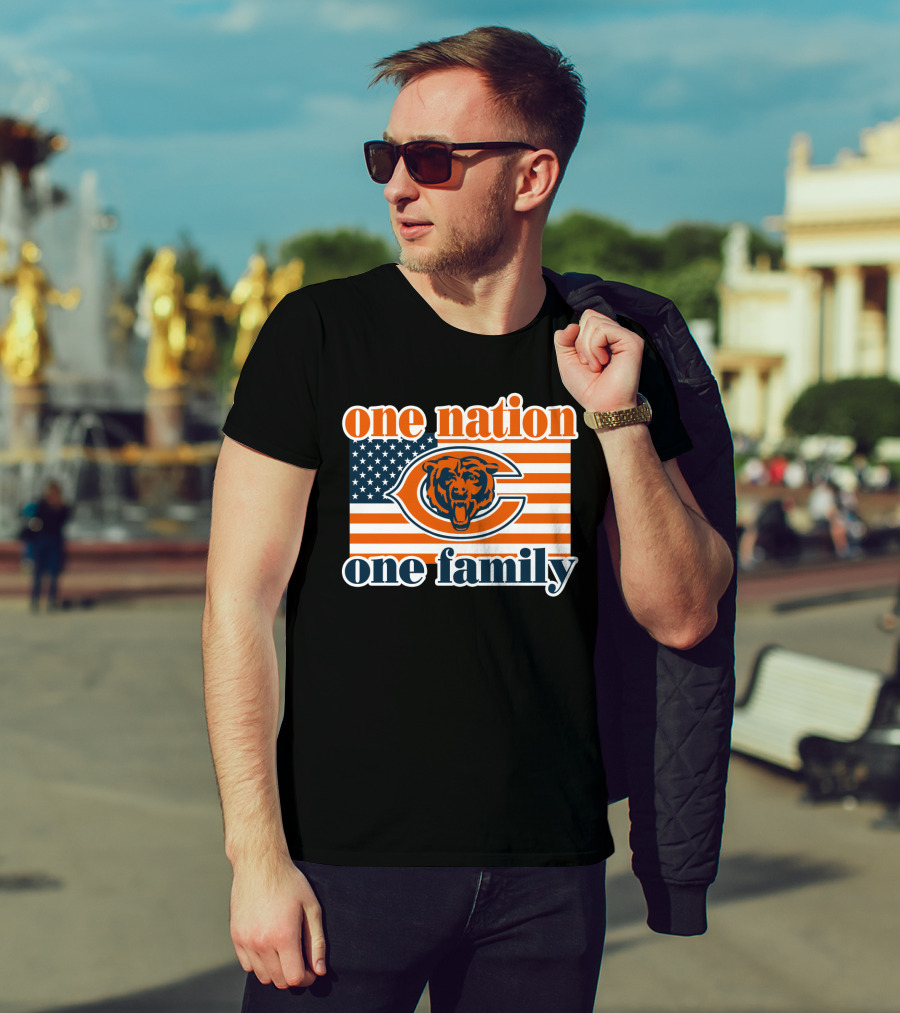 One Nation One Family Chicago Bears American Flag T-Shirt