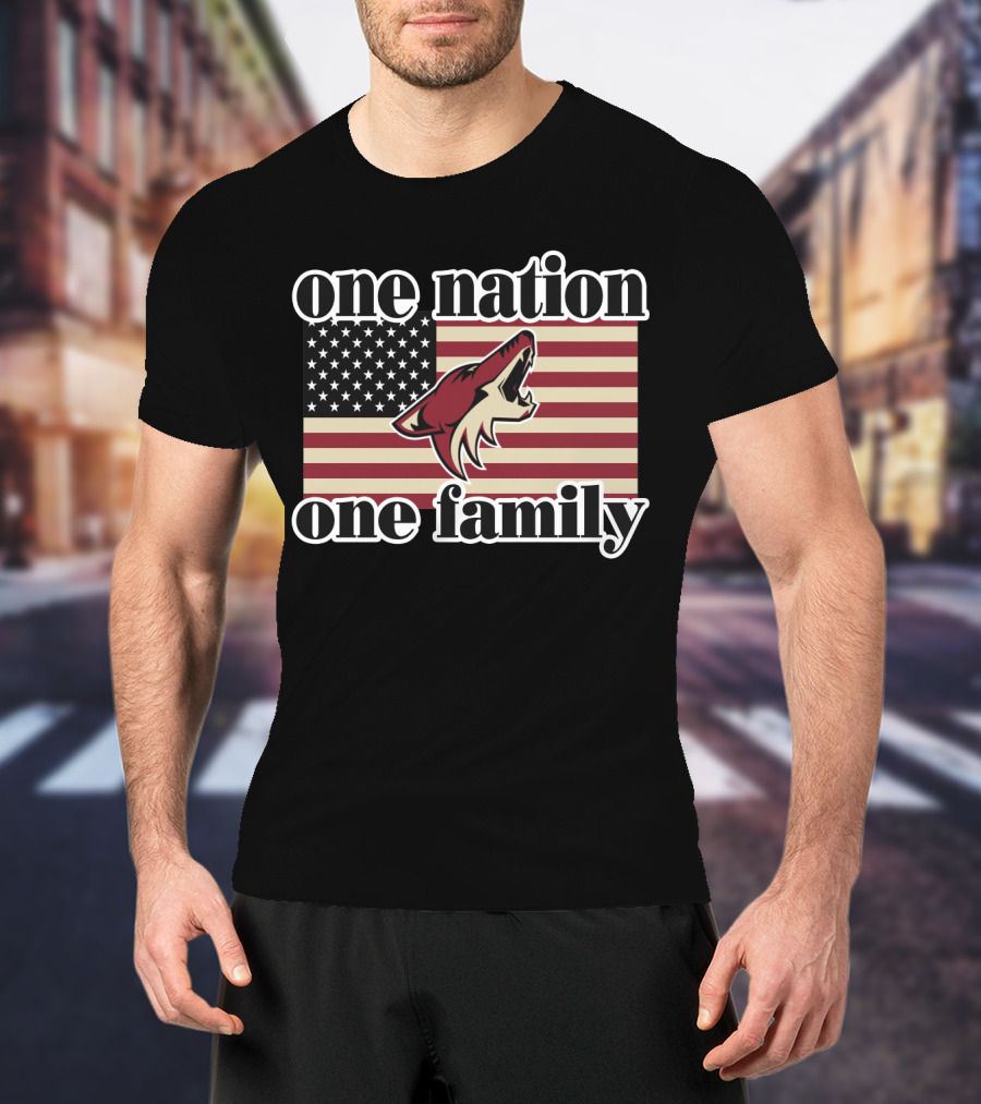 One Nation One Family Arizona Coyotes American Flag T-Shirt