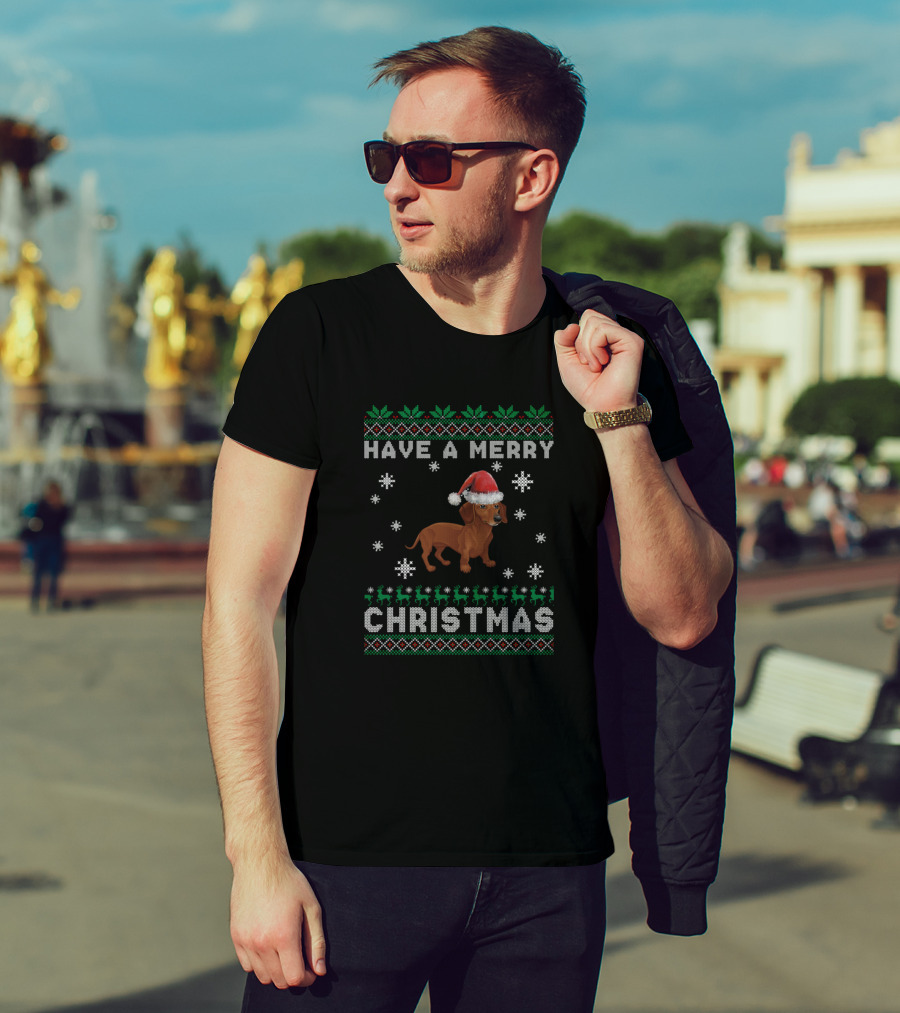 Have A Merry Christmas Dachshund Santa Hat Snowflakes Reindeer T-Shirt