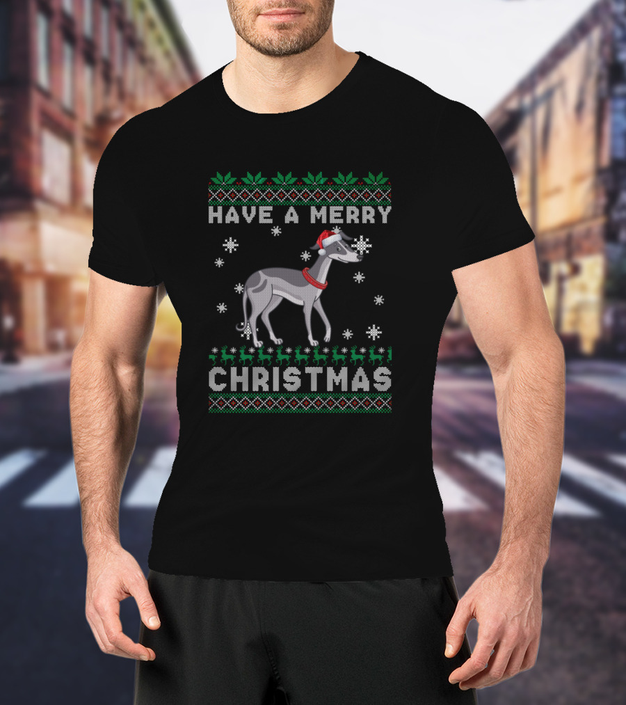 Have A Merry Christmas Greyhound Santa Hat Snowflakes T-Shirt
