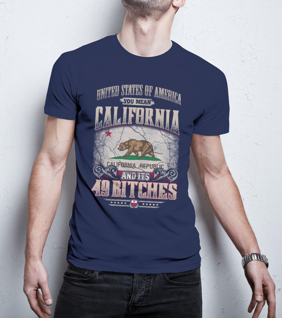 United States Of America You Mean California Republic And Its 49 Bitches T-Shirt