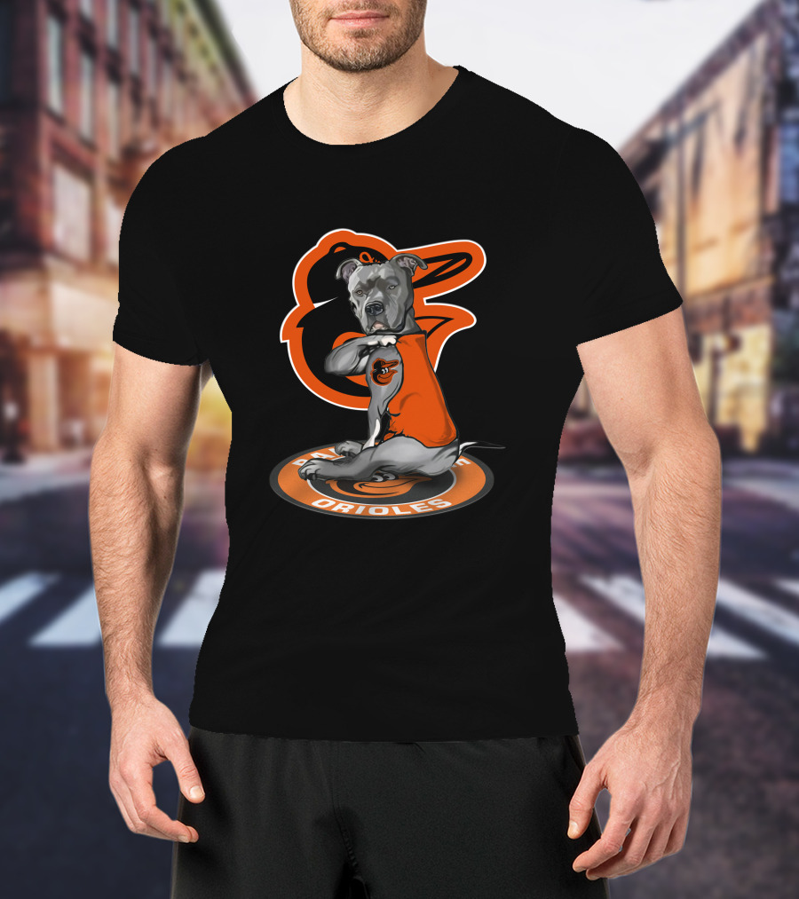 Golden Retriever With Baltimore Orioles Baseball Black And Orange Team T-Shirt