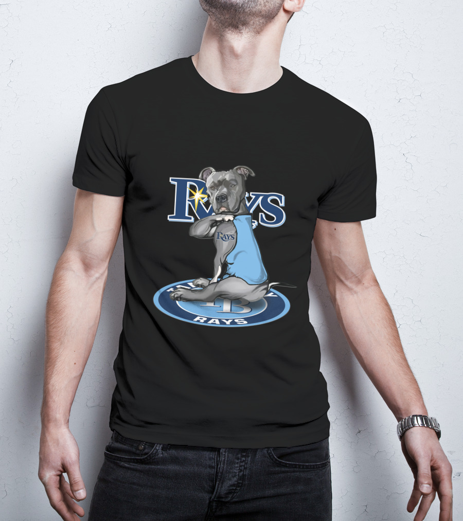 Rays Dog With Tampa Bay Rays Logo And 27-Tampa Bay Rays Circle T-Shirt