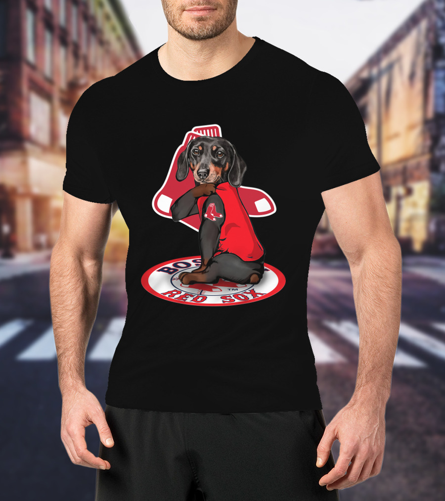 Boston Red Sox Dachshund Sitting On Logo Sox Shirt T-Shirt