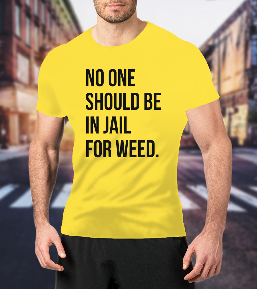 No One Should Be In Jail For Weed Gisele Barreto Fetterman We Go High Shop T-Shirt
